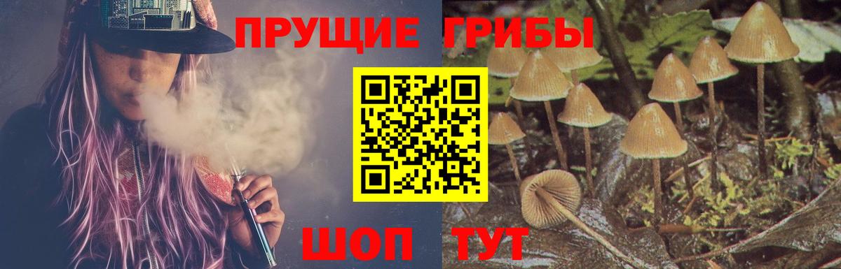 Ртищево  Галлюциногенные грибы прущие грибы  Галлюциногенные грибы мухоморы  Вход с VPN 