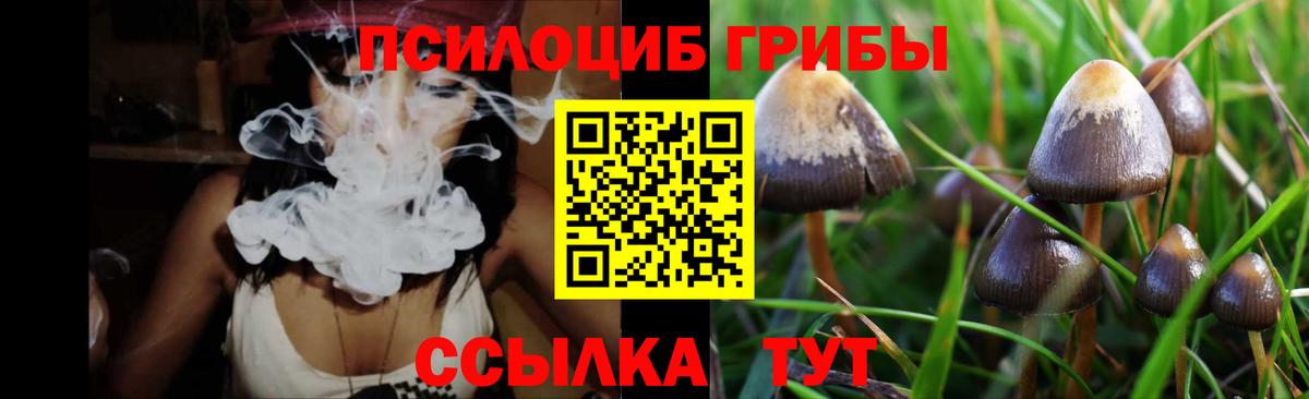 Галлюциногенные грибы Psilocybine cubensis Ртищево